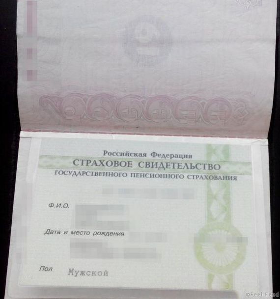 прописка в Шарье